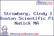 Stromberg, Cindy 1 Boston Scientific Pl Natick MA