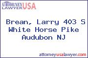 Brean, Larry 403 S White Horse Pike Audubon NJ