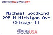 Michael Goodkind 205 N Michigan Ave Chicago Il