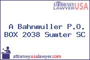 A Bahnmuller P.O. BOX 2038 Sumter SC