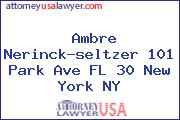 Ambre Nerinck-seltzer 101 Park Ave FL 30 New York NY