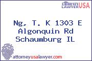 Ng, T. K 1303 E Algonquin Rd Schaumburg IL