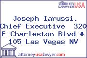Joseph Iarussi, Chief Executive  320 E Charleston Blvd # 105 Las Vegas NV