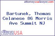 Bartunek, Thomas Celanese 86 Morris Ave Summit NJ