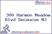  300 Harmon Meadow Blvd Secaucus NJ