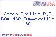 James Chellis P.O. BOX 430 Summerville SC