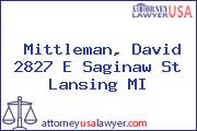 Mittleman, David 2827 E Saginaw St Lansing MI