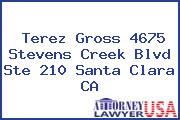 Terez Gross 4675 Stevens Creek Blvd Ste 210 Santa Clara CA
