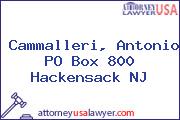 Cammalleri, Antonio PO Box 800 Hackensack NJ