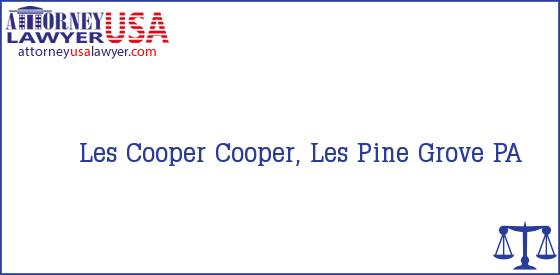 Telephone, Address and other contact data of Les Cooper, Pine Grove, PA, USA