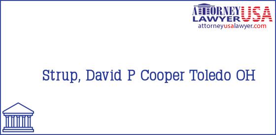 Telephone, Address and other contact data of Strup, David P, Toledo, OH, USA