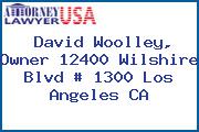David Woolley, Owner 12400 Wilshire Blvd # 1300 Los Angeles CA