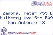 Zamora, Peter 755 E Mulberry Ave Ste 500 San Antonio TX