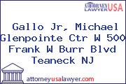 Gallo Jr, Michael Glenpointe Ctr W 500 Frank W Burr Blvd Teaneck NJ