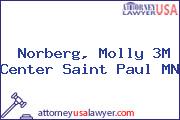 Norberg, Molly 3M Center Saint Paul MN