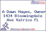 A Dawn Hayes, Owner 1434 Bloomingdale Ave Valrico FL