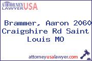 Brammer, Aaron 2060 Craigshire Rd Saint Louis MO