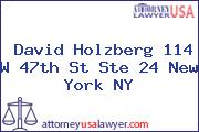 David Holzberg 114 W 47th St Ste 24 New York NY
