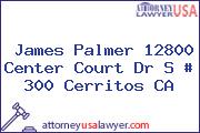 James Palmer 12800 Center Court Dr S # 300 Cerritos CA