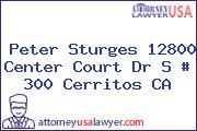 Peter Sturges 12800 Center Court Dr S # 300 Cerritos CA