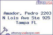 Amador, Pedro 2203 N Lois Ave Ste 925 Tampa FL
