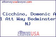 Cicchino, Domenic A 1 Att Way Bedminster NJ